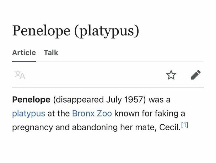 Comedic Gold Hidden In Wikipedia Pages