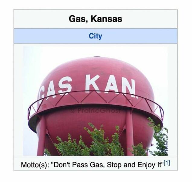 Comedic Gold Hidden In Wikipedia Pages