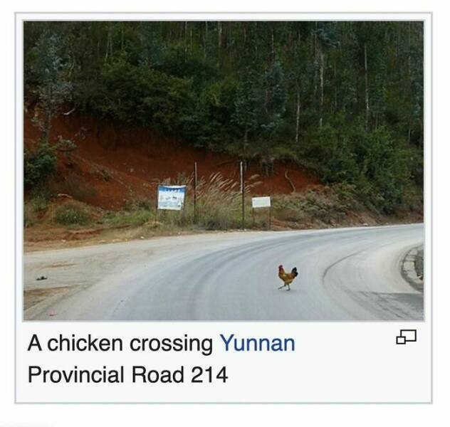 Comedic Gold Hidden In Wikipedia Pages