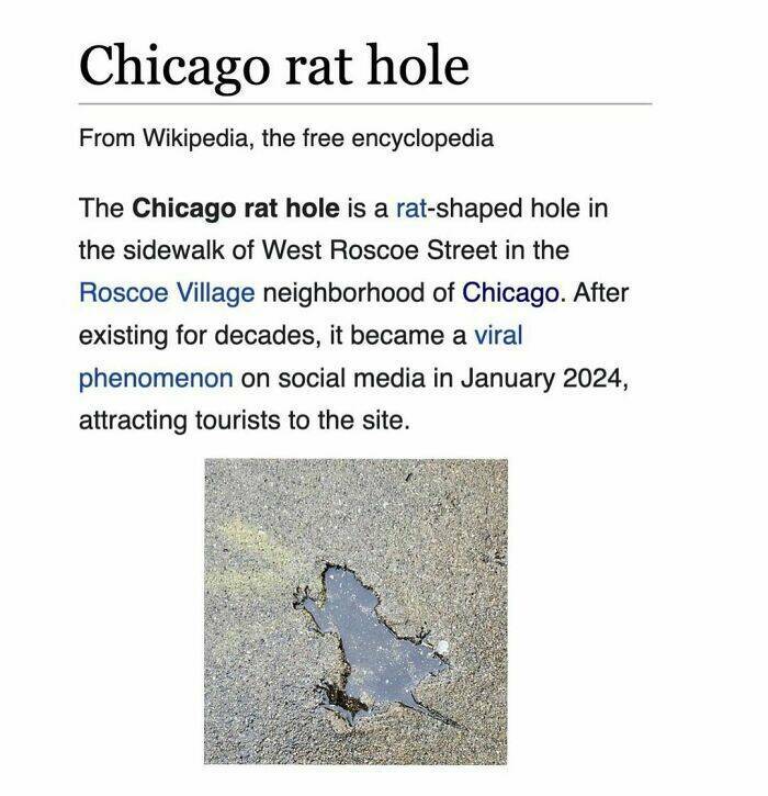 Comedic Gold Hidden In Wikipedia Pages