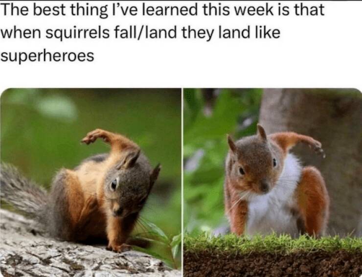 Superhero Memes That Will Save Your Day