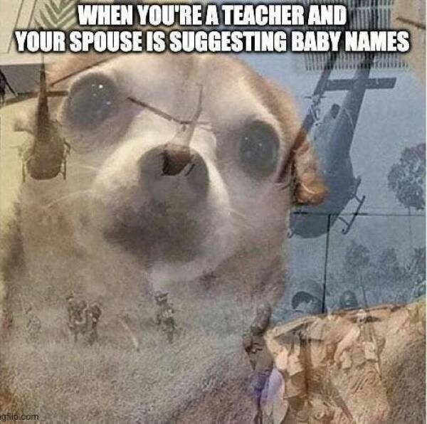 Hilarious Memes Only Teachers Will Truly Appreciate