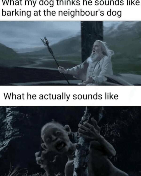 Side-Splitting Lord Of The Rings Memes For Your Inner Hobbit