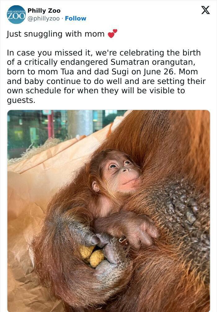 Heartwarming Moments Of Animal Parenthood