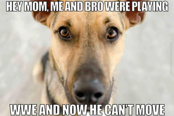 Hilarious Sibling Memes Every Brother And Sister Will Understand