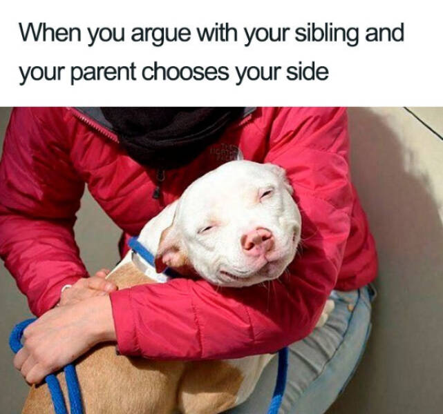 Hilarious Sibling Memes Every Brother And Sister Will Understand