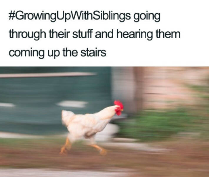 Hilarious Sibling Memes Every Brother And Sister Will Understand