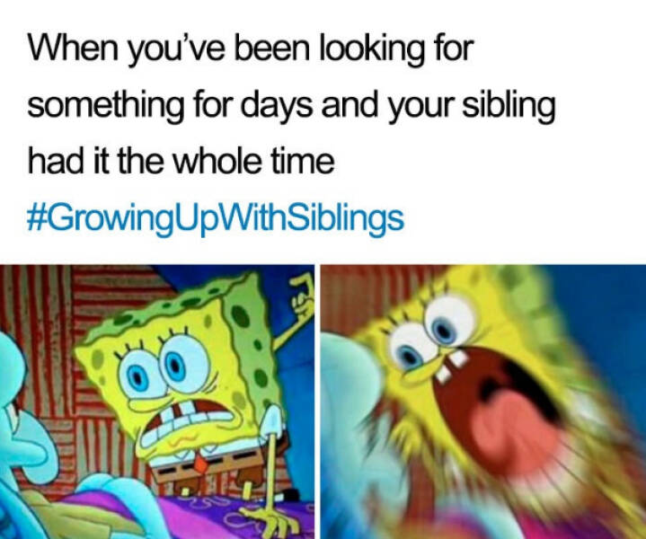 Hilarious Sibling Memes Every Brother And Sister Will Understand