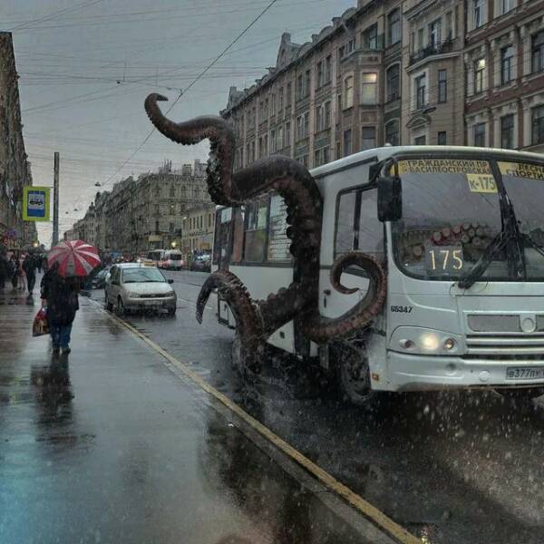 Daily Picdump