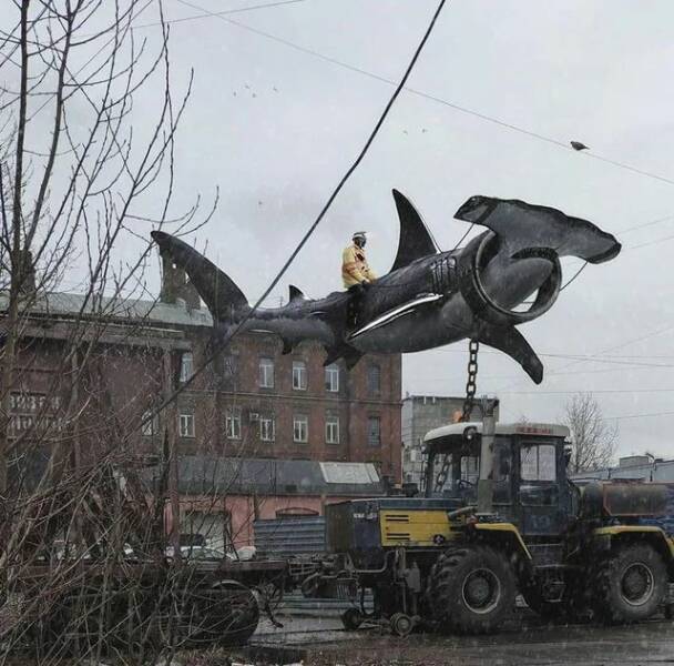 Daily Picdump