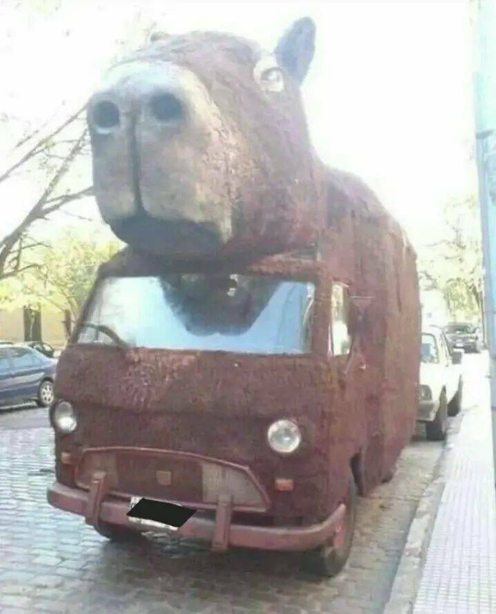 Daily Picdump