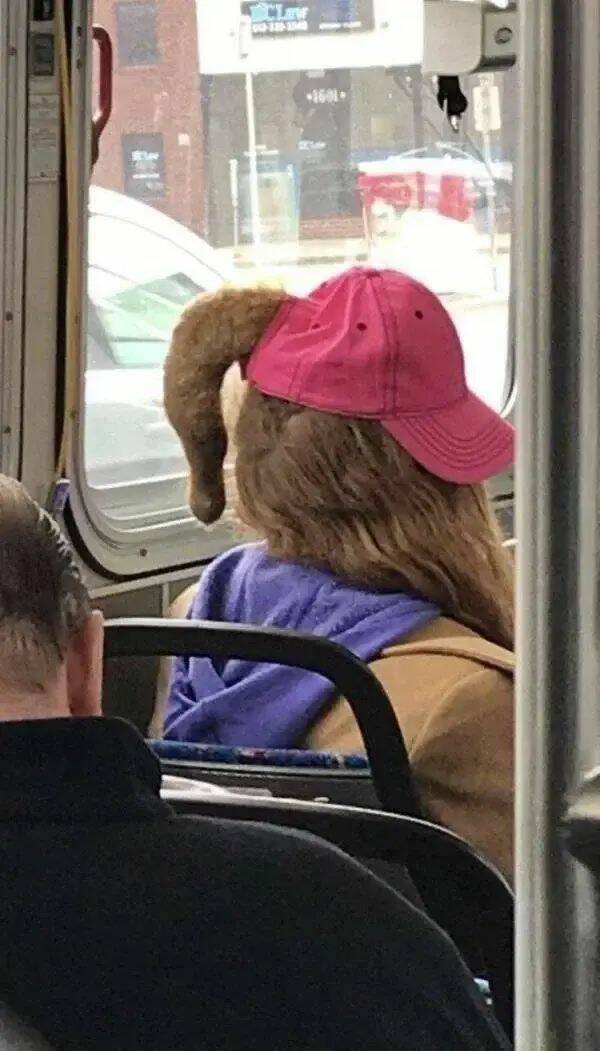 Daily Picdump