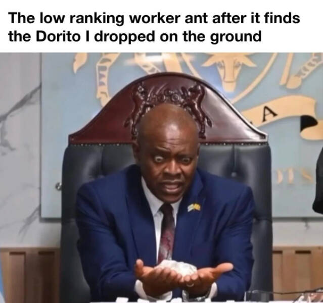 Don’t Laugh If You Don’t Wanna Lose!