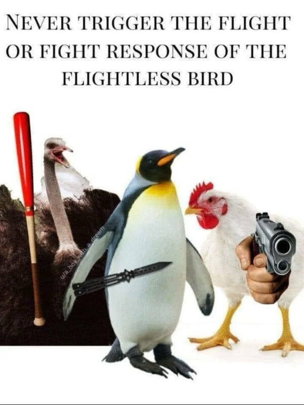 Don’t Laugh If You Don’t Wanna Lose!