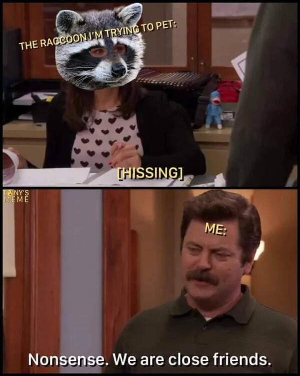 Don’t Laugh If You Don’t Wanna Lose!