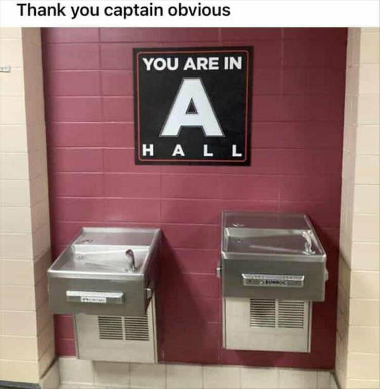 Funny Picdump