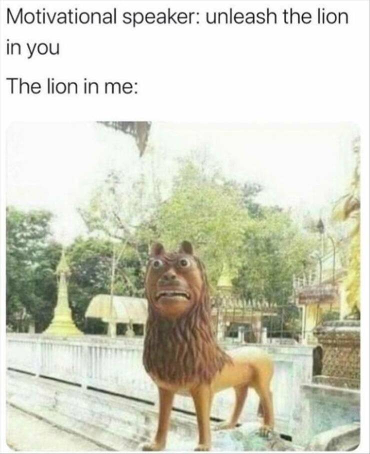 Funny Picdump