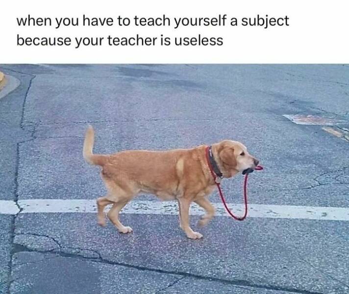 Hilarious Memes That Capture The Realities Of Medical Life