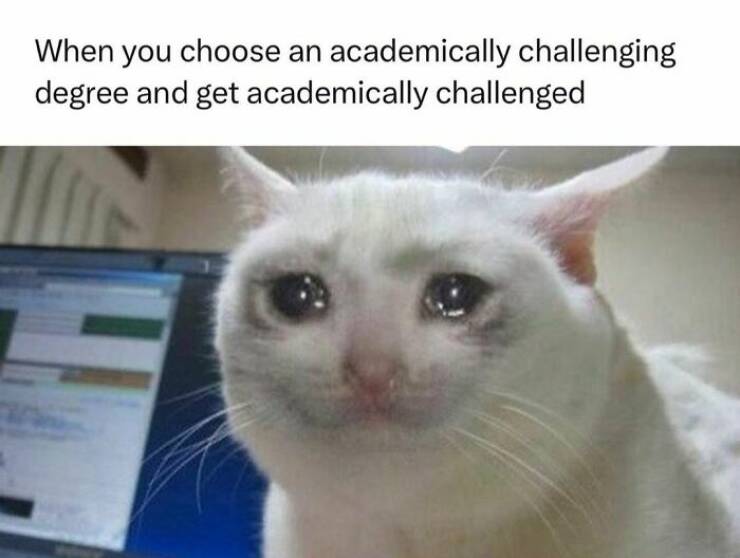 Hilarious Memes That Capture The Realities Of Medical Life