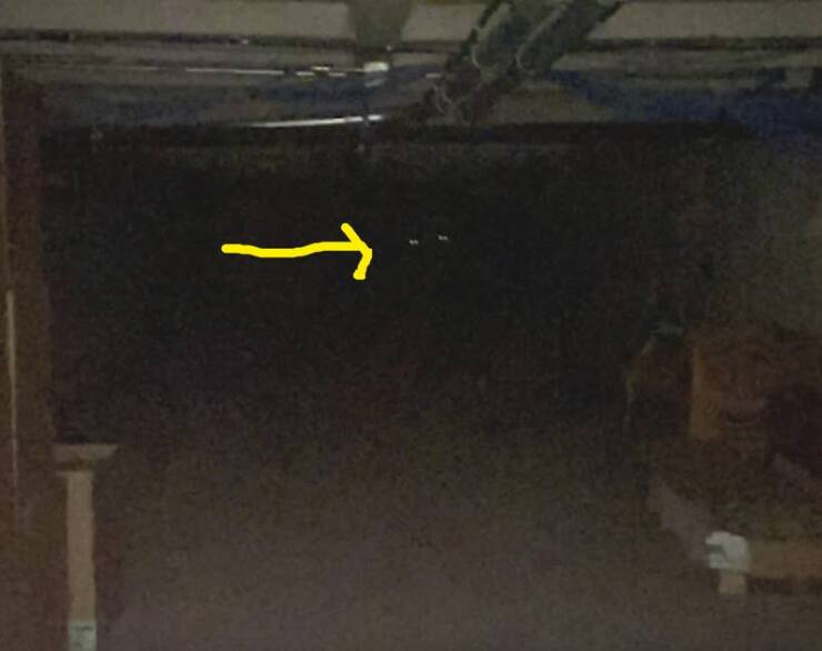 Terrifying Photos That Will Haunt Your Dreams