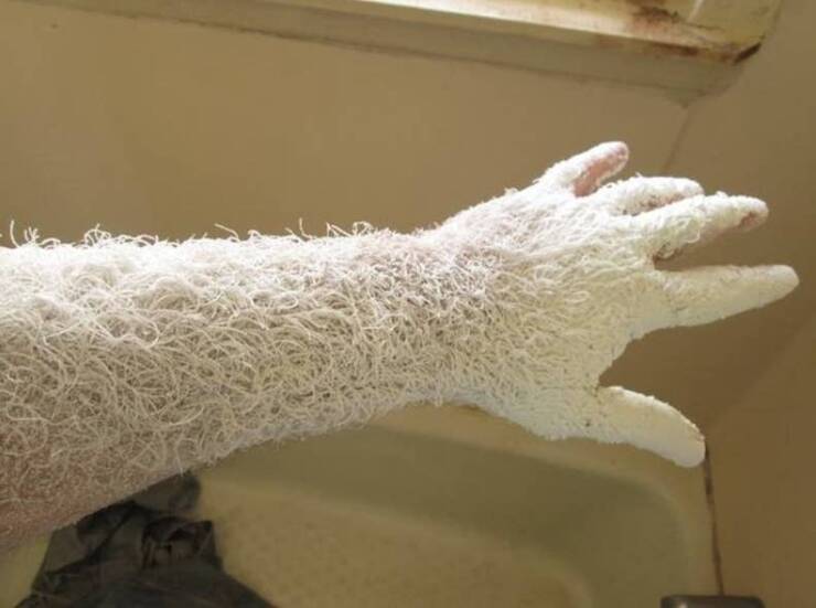 Terrifying Photos That Will Haunt Your Dreams