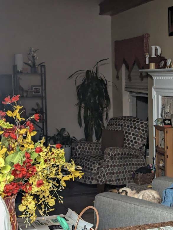 Terrifying Photos That Will Haunt Your Dreams