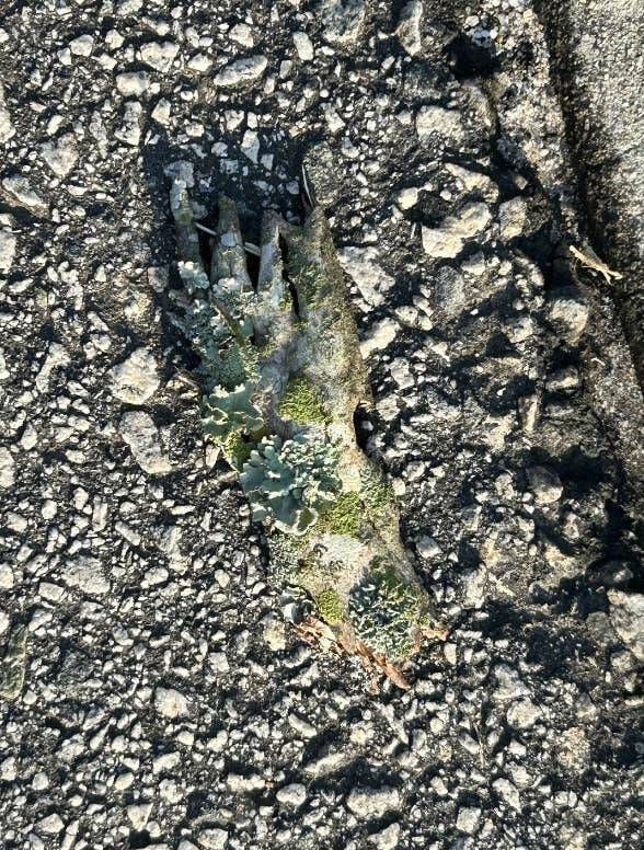 Terrifying Photos That Will Haunt Your Dreams