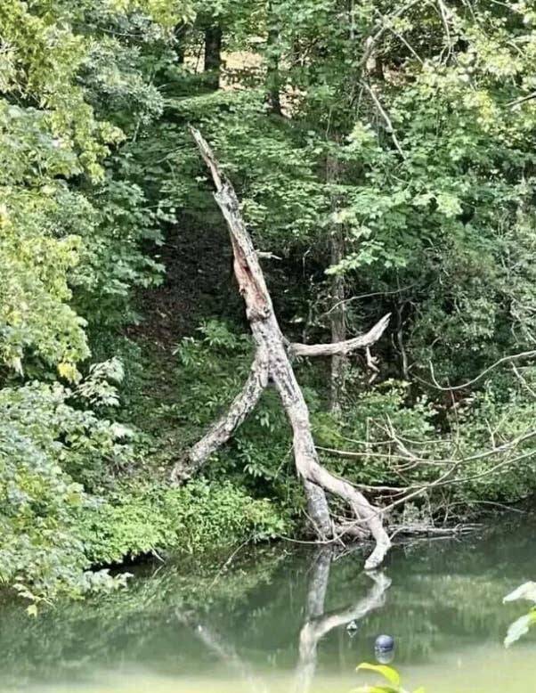 Terrifying Photos That Will Haunt Your Dreams