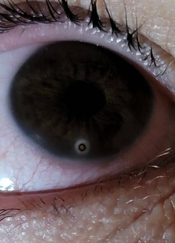 Terrifying Photos That Will Haunt Your Dreams