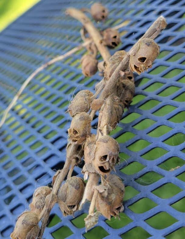 Terrifying Photos That Will Haunt Your Dreams