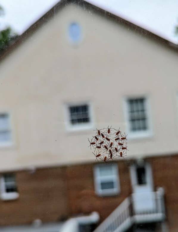 Terrifying Photos That Will Haunt Your Dreams