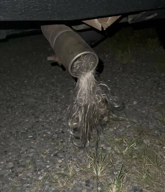 Terrifying Photos That Will Haunt Your Dreams