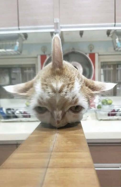 Terrifying Photos That Will Haunt Your Dreams