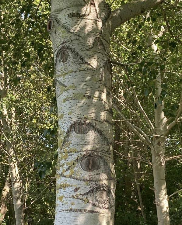 Terrifying Photos That Will Haunt Your Dreams