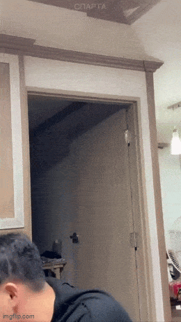 Daily Gifdump