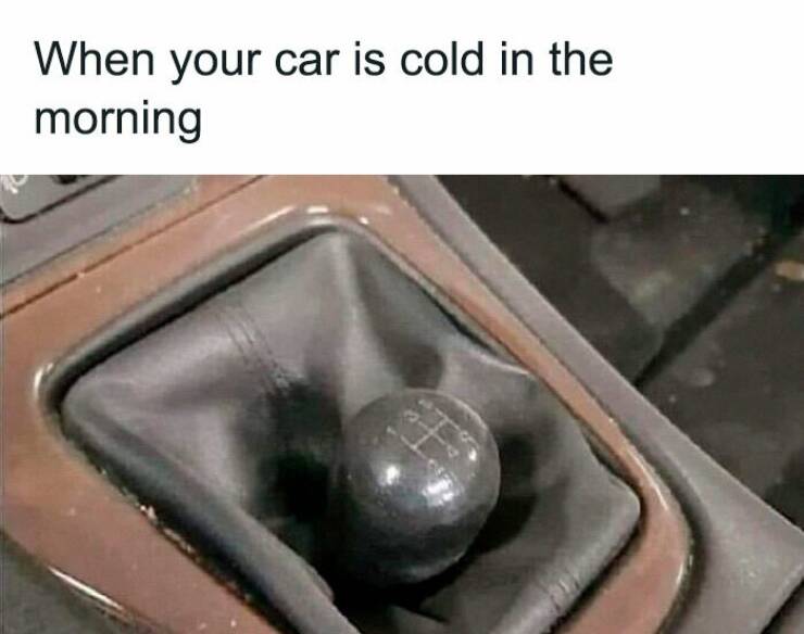 Funny Car Memes That Will Rev Up Your Humor