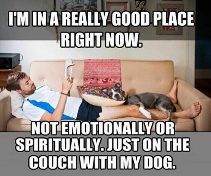 Heartwarming Dog Memes To Brighten Your Day