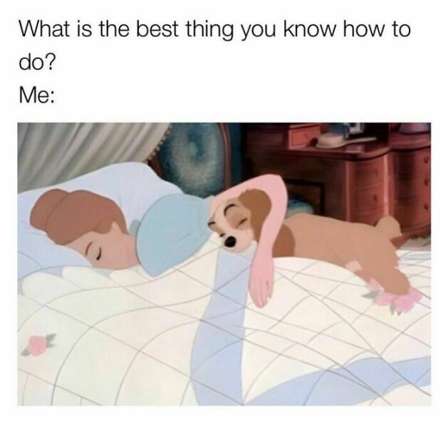 Heartwarming Dog Memes To Brighten Your Day