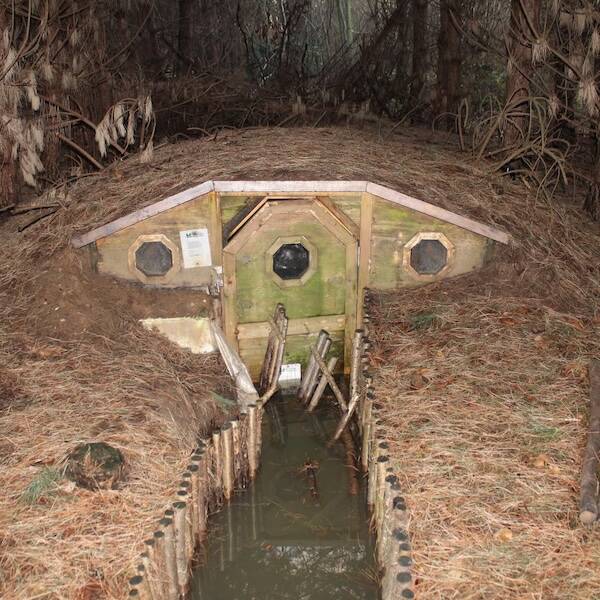 Mysterious And Haunting Finds From The Depths Of The Woods