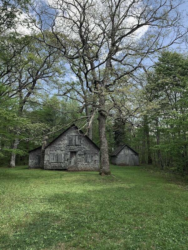 Mysterious And Haunting Finds From The Depths Of The Woods