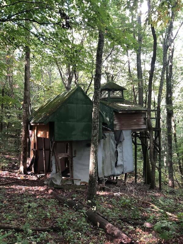 Mysterious And Haunting Finds From The Depths Of The Woods