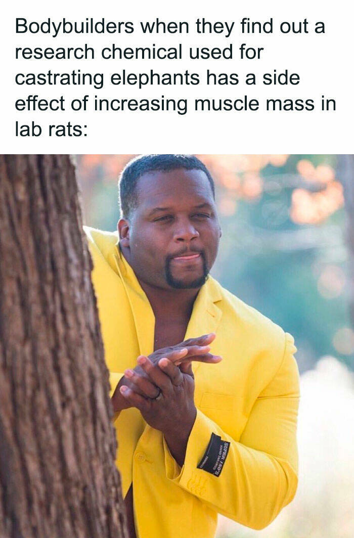 Memes That Capture The Struggles Of Health Enthusiasts