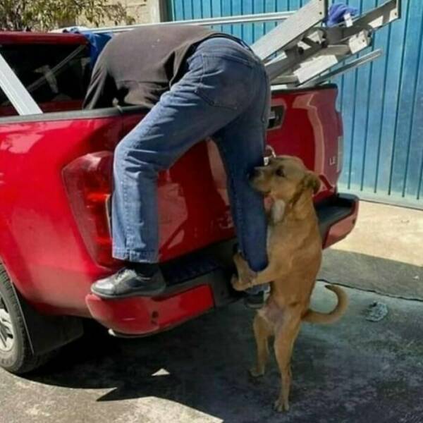 Bizarre And Cursed Images For Those Who Love The Weird And Wacky
