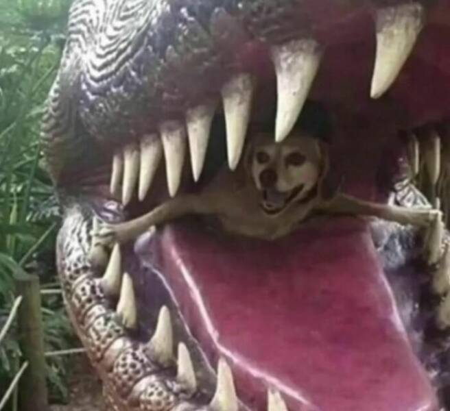 Bizarre And Cursed Images For Those Who Love The Weird And Wacky