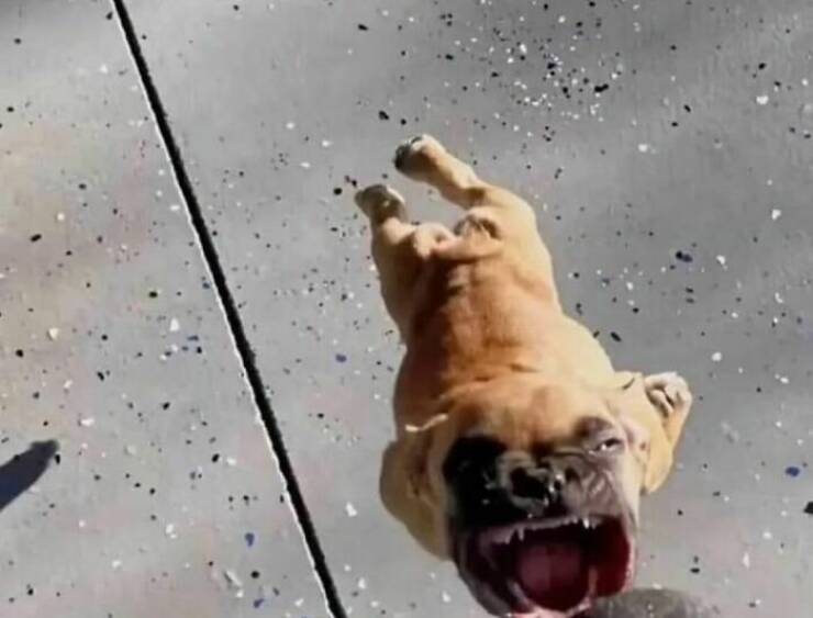 Bizarre And Cursed Images For Those Who Love The Weird And Wacky