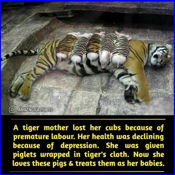 Fascinating Facts That Will Make You See the World Differently