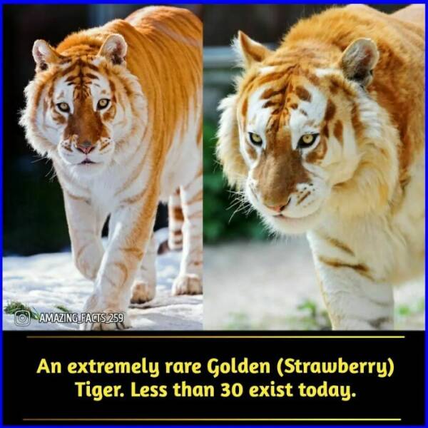 Fascinating Facts That Will Make You See the World Differently