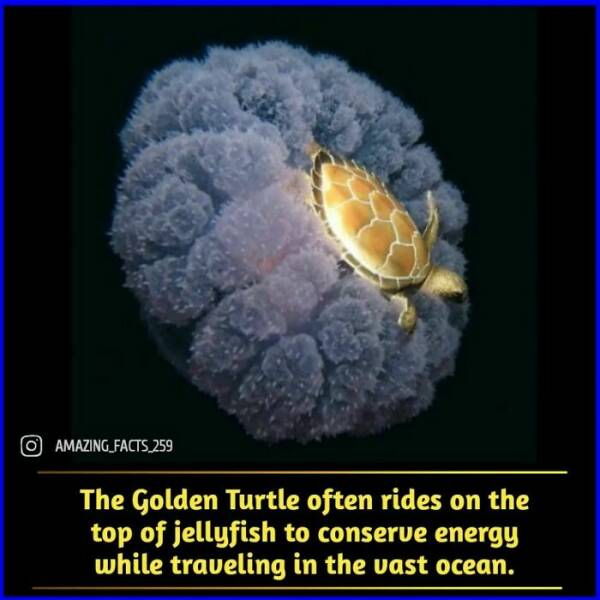 Fascinating Facts That Will Make You See the World Differently