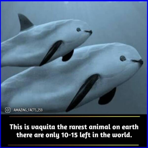 Fascinating Facts That Will Make You See the World Differently