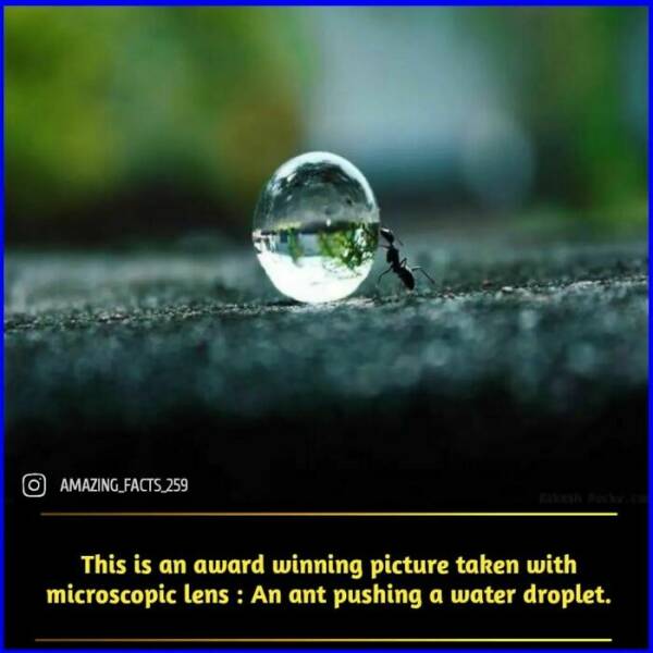 Fascinating Facts That Will Make You See the World Differently